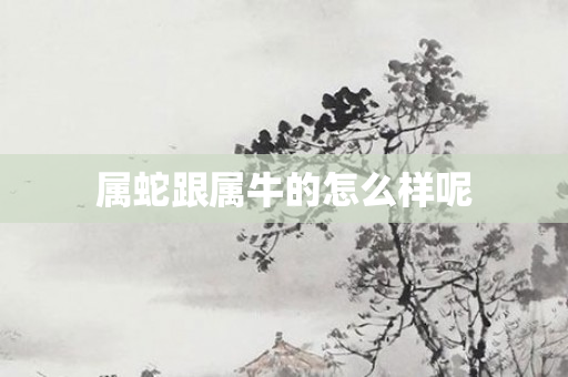 属蛇跟属牛的怎么样呢