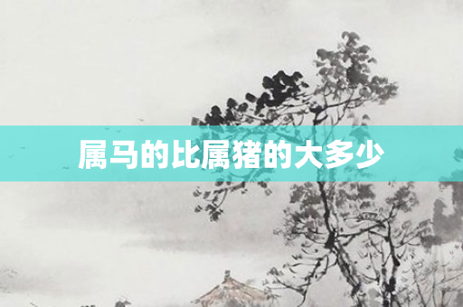 属马的比属猪的大多少