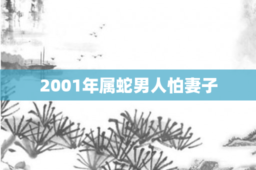 2001年属蛇男人怕妻子