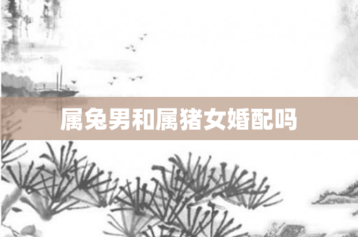 属兔男和属猪女婚配吗