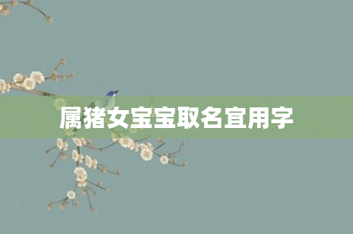 属猪女宝宝取名宜用字