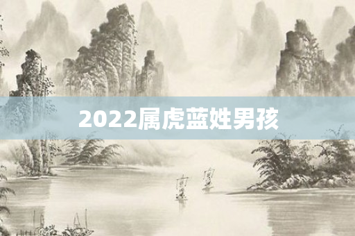 2022属虎蓝姓男孩