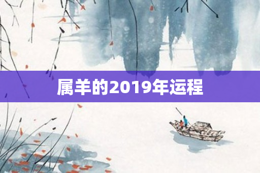 属羊的2019年运程