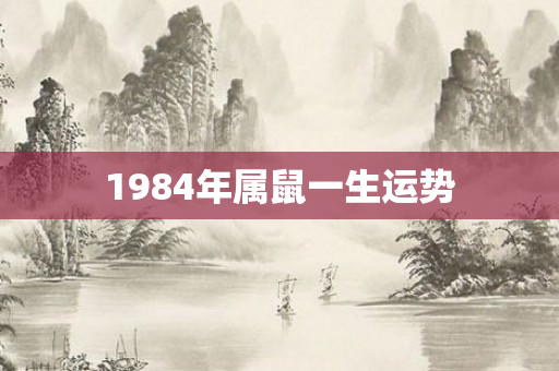 1984年属鼠一生运势