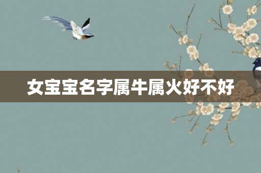 女宝宝名字属牛属火好不好