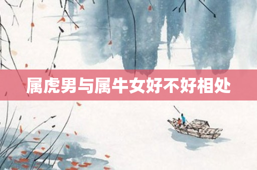 属虎男与属牛女好不好相处