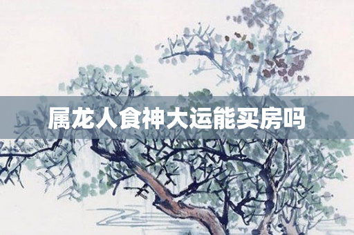 属龙人食神大运能买房吗