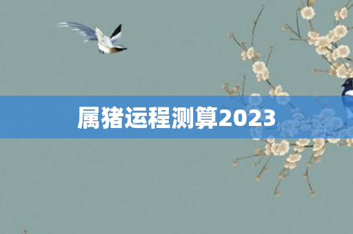 属猪运程测算2023
