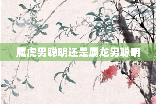 属虎男聪明还是属龙男聪明