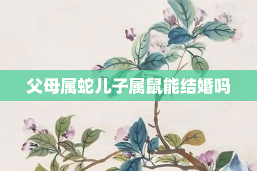 父母属蛇儿子属鼠能结婚吗