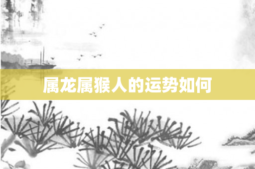 属龙属猴人的运势如何