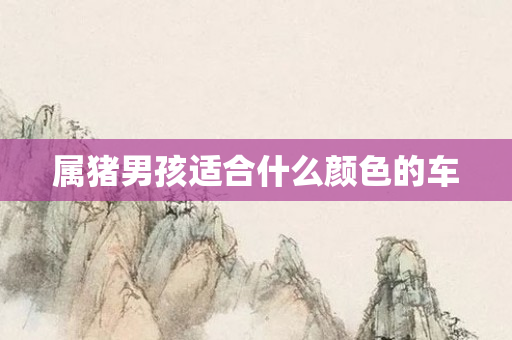 属猪男孩适合什么颜色的车