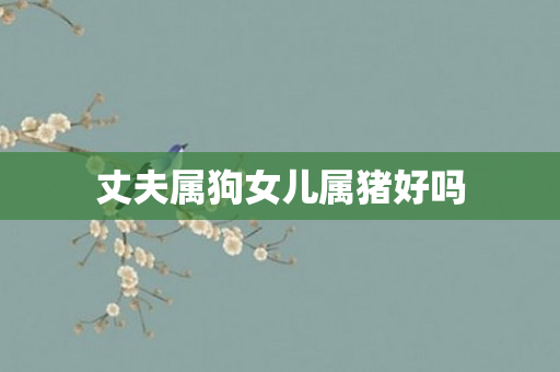 丈夫属狗女儿属猪好吗