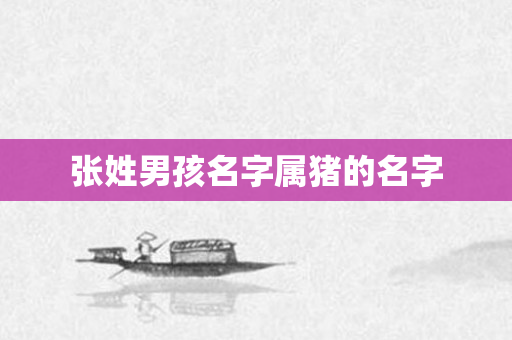 张姓男孩名字属猪的名字