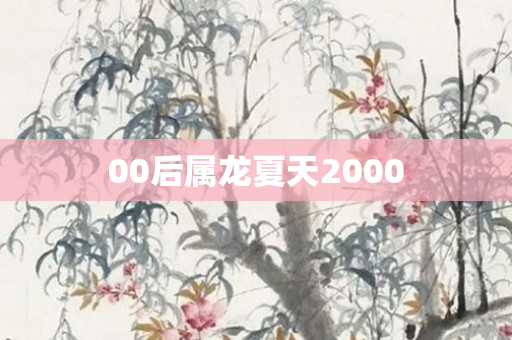00后属龙夏天2000