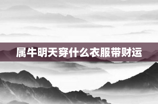 属牛明天穿什么衣服带财运