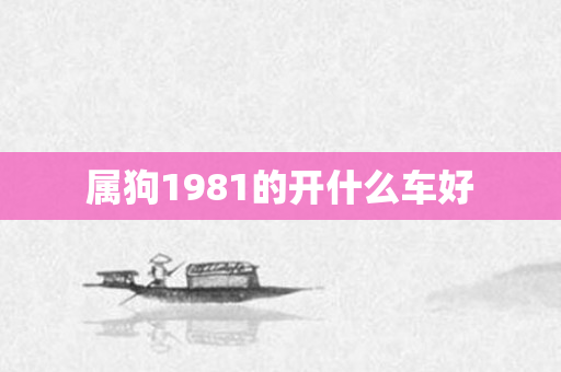属狗1981的开什么车好