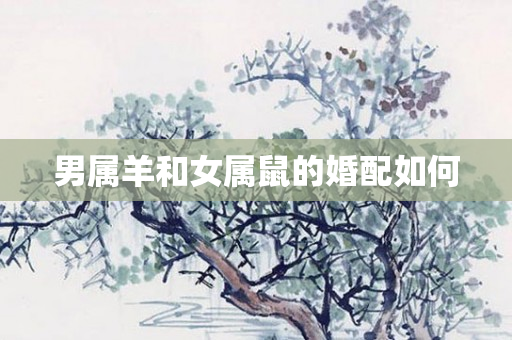 男属羊和女属鼠的婚配如何