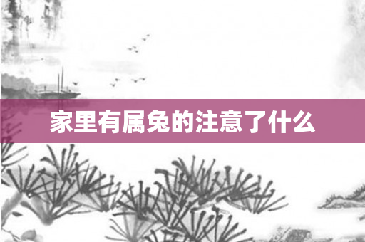家里有属兔的注意了什么
