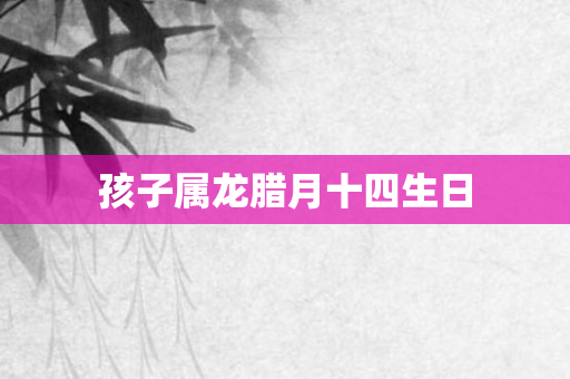 孩子属龙腊月十四生日