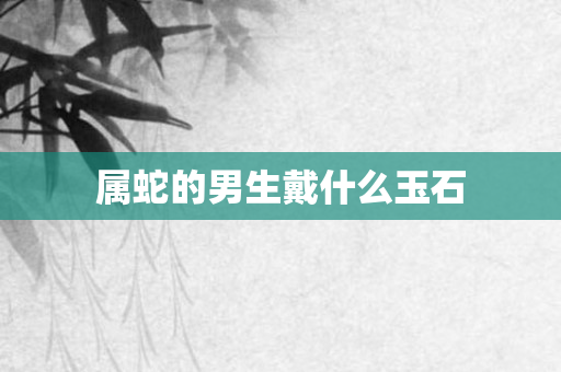 属蛇的男生戴什么玉石