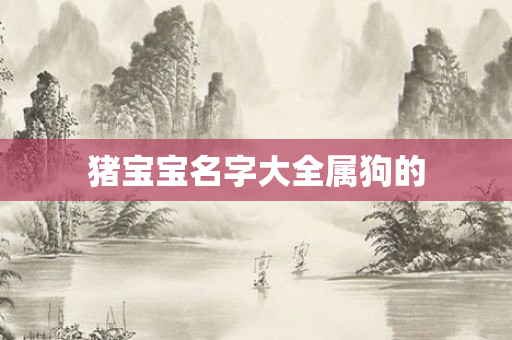 猪宝宝名字大全属狗的