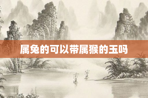 属兔的可以带属猴的玉吗