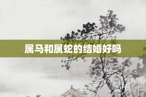 属马和属蛇的结婚好吗