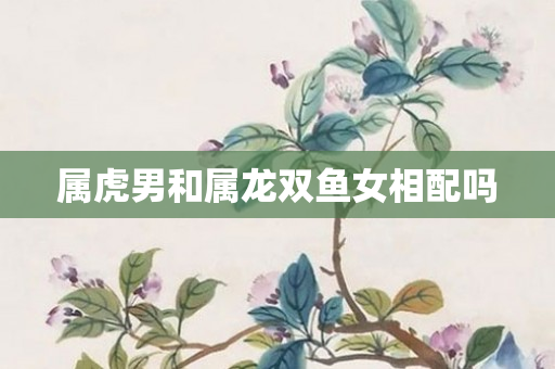 属虎男和属龙双鱼女相配吗