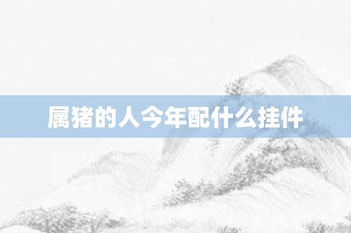 属猪的人今年配什么挂件