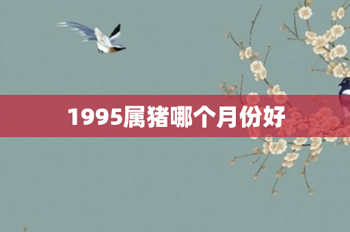 1995属猪哪个月份好
