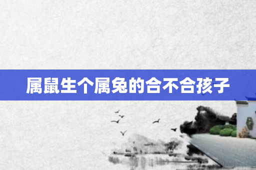 属鼠生个属兔的合不合孩子