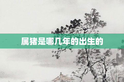 属猪是哪几年的出生的