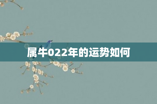 属牛022年的运势如何