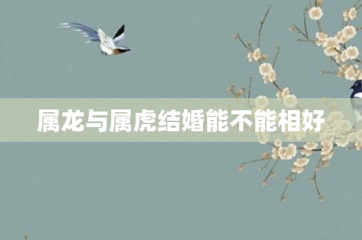属龙与属虎结婚能不能相好