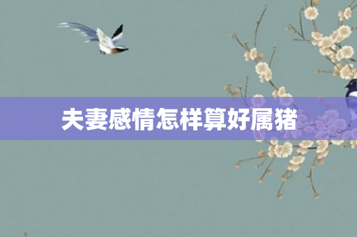 夫妻感情怎样算好属猪