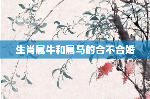 生肖属牛和属马的合不合婚
