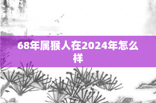 68年属猴人在2024年怎么样
