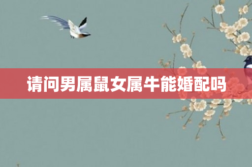 请问男属鼠女属牛能婚配吗