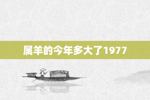 属羊的今年多大了1977