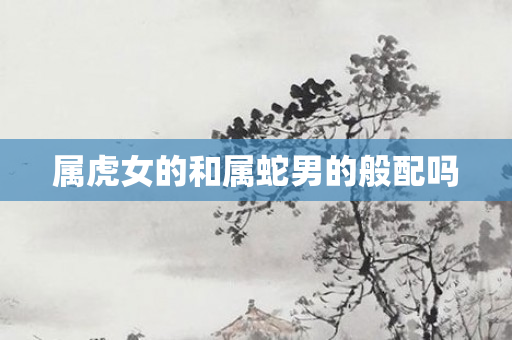 属虎女的和属蛇男的般配吗