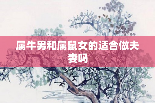 属牛男和属鼠女的适合做夫妻吗