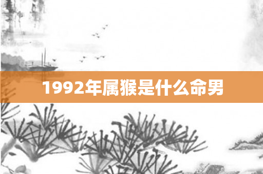 1992年属猴是什么命男