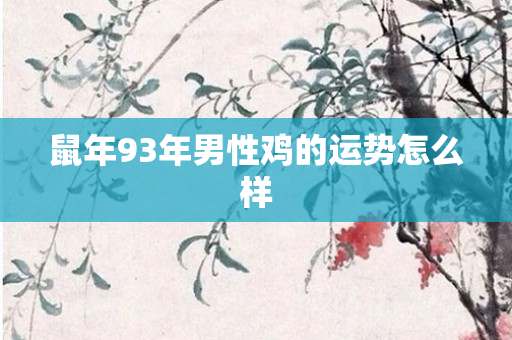 鼠年93年男性鸡的运势怎么样