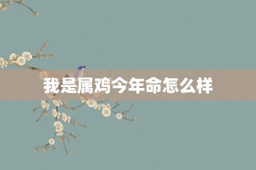 我是属鸡今年命怎么样