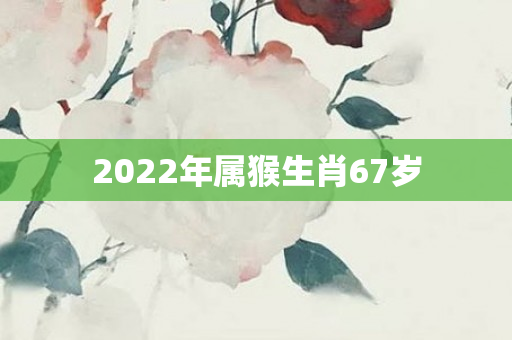 2022年属猴生肖67岁