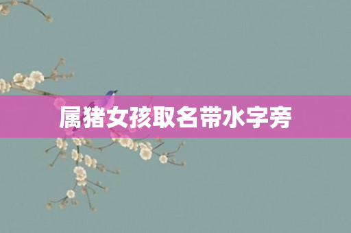 属猪女孩取名带水字旁