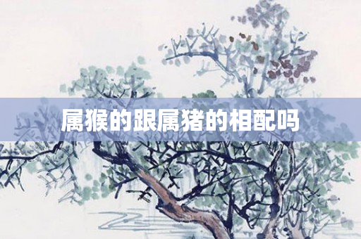 属猴的跟属猪的相配吗