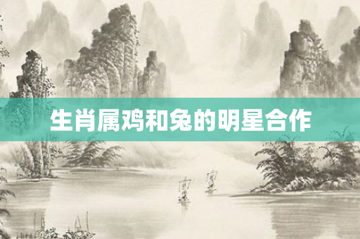 生肖属鸡和兔的明星合作