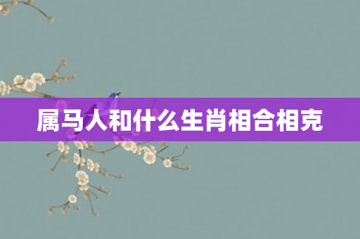 属马人和什么生肖相合相克